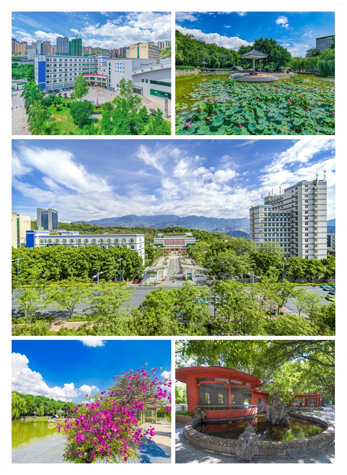 图2  南大门_副本.jpg