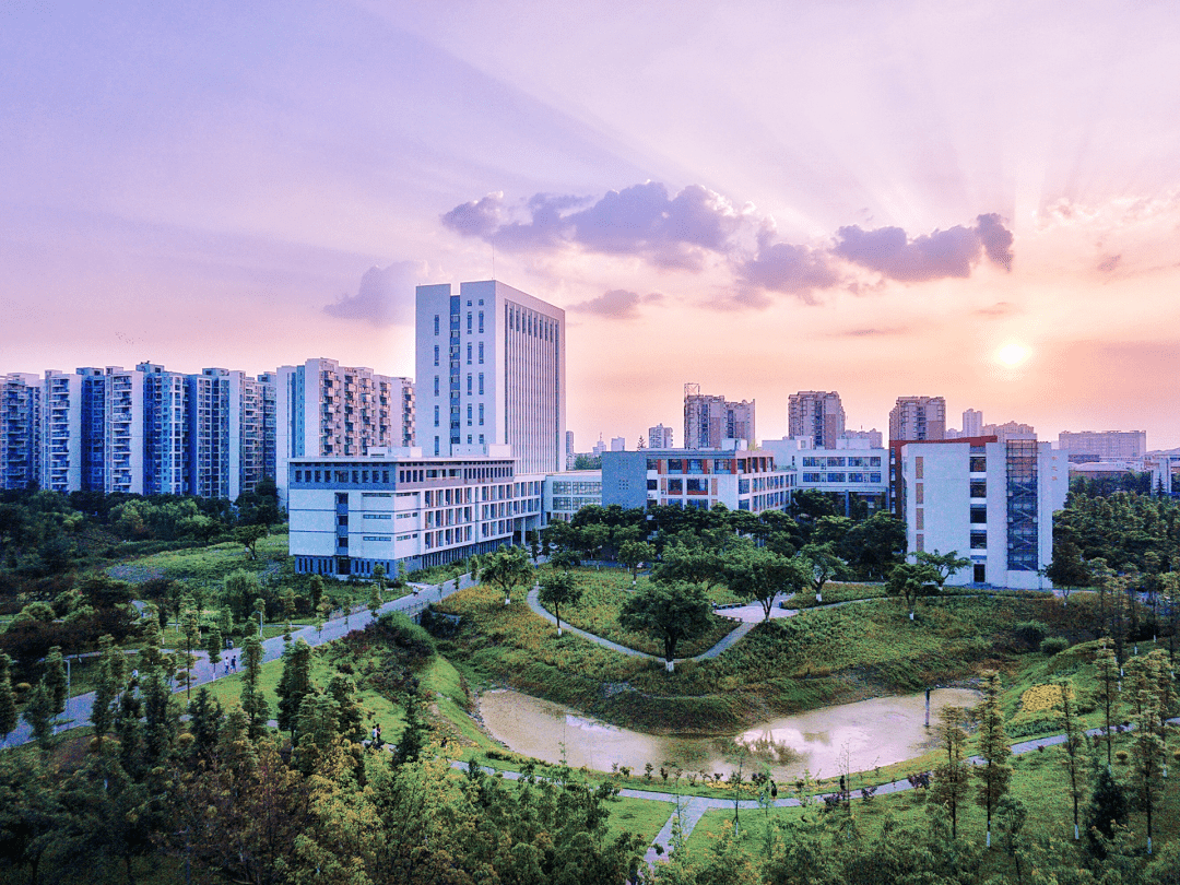 西南石油大学.png