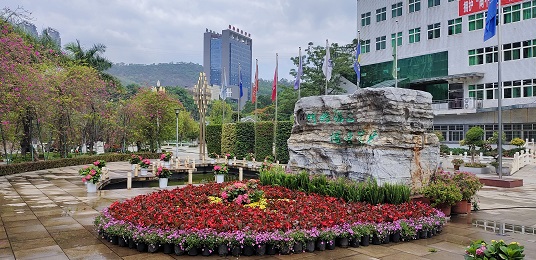 IMG_20220601_092953.jpg IMG_20220601_092953.jpg