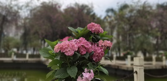 微信图片_20220601114214.jpg 微信图片_20220601114214.jpg