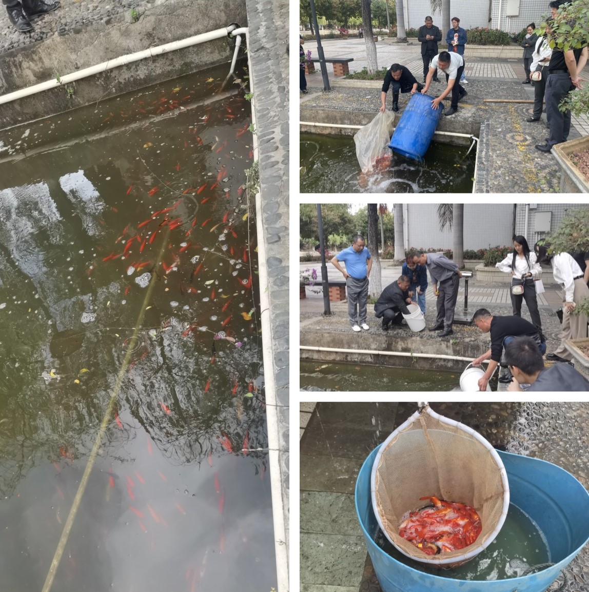 微信图片_202303211505525_副本.jpg 微信图片_202303211505525_副本.jpg